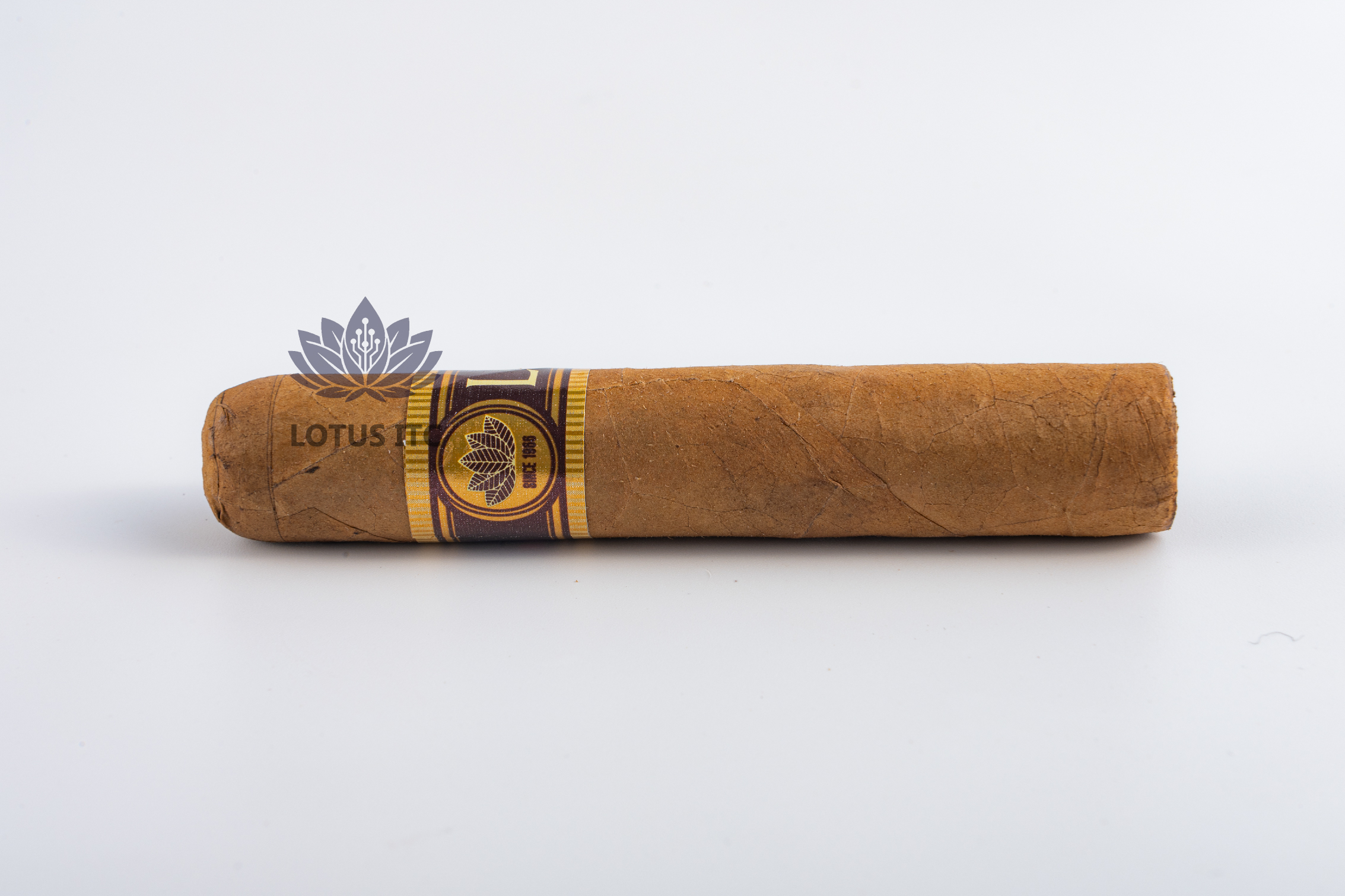 Cigar LOTUS NO.2 (Hộp sắt 5 điếu)